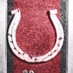 Meet your Posher, Damien